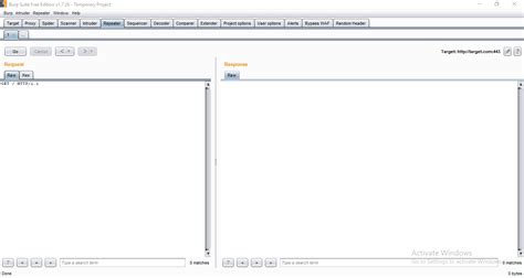 Burp Suite Professional 2025.1.1